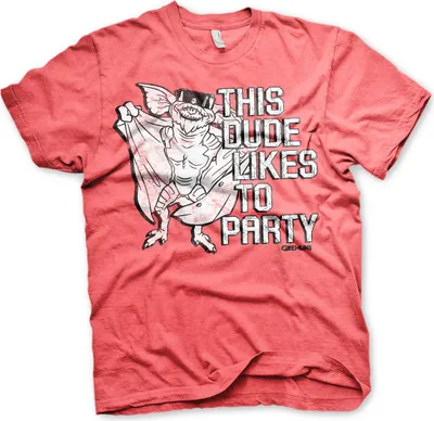 Produktbild von This Dude Likes To Party T-Shirt - Small - Red-Heather