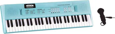 Produktbild von Übungsklavier Reig Blau Mikrofon
