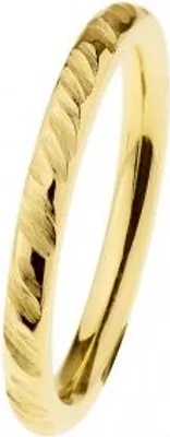 Produktbild von Ernstes Design Damen Ring Evia aus IP-Gold veredeltem Edelstahl