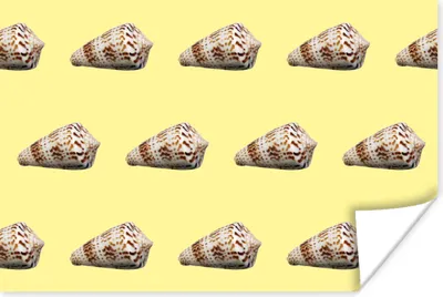 Produktbild von MuchoWow® Poster Muscheln - Muster - Gelb 120x80 cm - Bilder