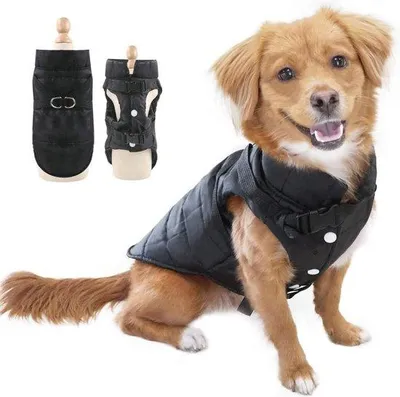Productafbeelding van Famanu hondenkleding voor kleine huisdieren - Waterdicht en warm, ideaal voor honden en katten
