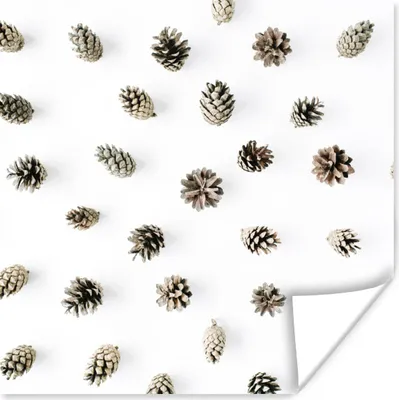 Produktbild von MuchoWow® Poster Tannenzapfen - Winter - Weiß 100x100 cm - Babyzimmer