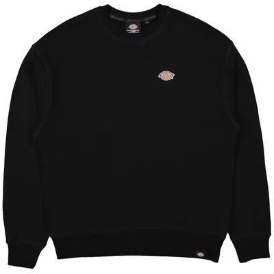 Immagine prodotto di Felpa Dickies DK0A4YLZBLK1 da Uomo