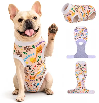 Productafbeelding van Herstelpak voor Honden na Operatie