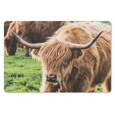 Produktbild von MuchoWow® Schreibtischunterlage Schottische Highlander - Tiere - Gras 60x40 cm - XXL Mauspad - Großes Mauspad