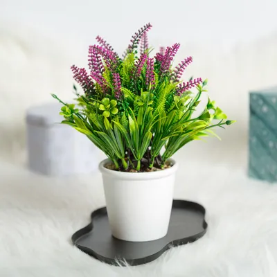 Produktbild von Künstliche Pflanze - Heimdekoration - Lavendel - 20 x 8 cm 1 Stück [11893]
