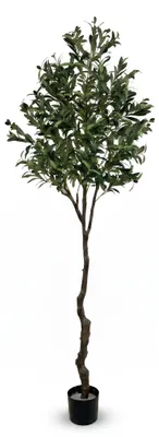 Zdjęcie produktu dla IvoQ Sztuczne drzewko oliwne 210 cm - Realistyczna XL sztuczna roślina z oliwkami, Obraz wygenerowany przez AI