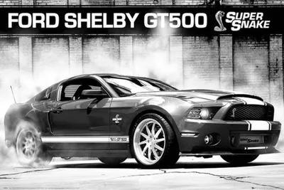 Produktbild von Ford - Poster - Shelby GT500 Supersnake