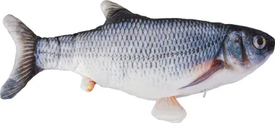 Produktbild von Duvo+ Katzenspielzeug Catch n play Fish