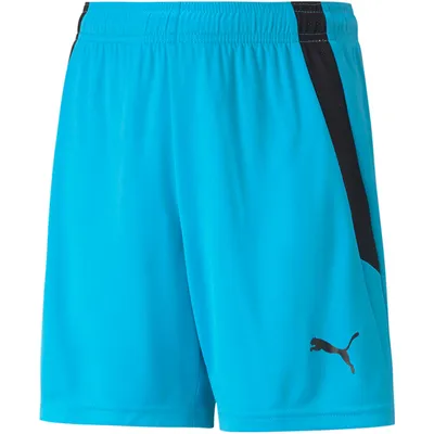 Immagine prodotto di Pantaloni Puma Teamliga 70493140