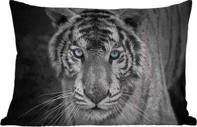 Produktbild von MuchoWow® Outdoor Kissen - Tiere - Tiger - Schwarz und weiß - Augen - Blau - 50x30 cm - Wetterfest - Lounge Kissen - Sofa kissen - Wohnzimmer Dekoration