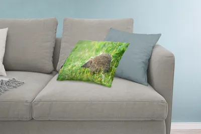 Produktbild von MuchoWow® Zierkissen Sofakissen Wohnzimmer Dekokissen 60x40 cm Igel steht im Gras - Kopfkissen - Polster mit Foto