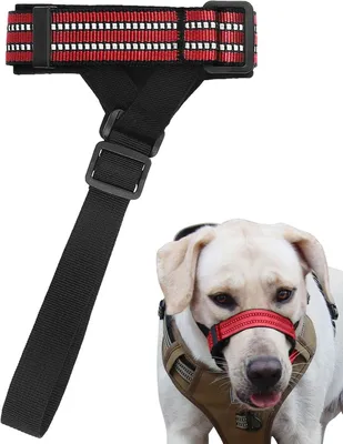 Productafbeelding van Honden muilkorf - Mondbeschermer hond - Ongewenst kauwen voorkomen - Reflecterend en drinkbaar - Maat M - Rood