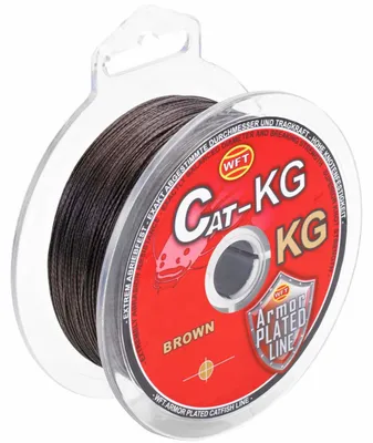 Produktbild von WFT Cat 35kg 0,40mm braun - 300m geflochtene Angelschnur