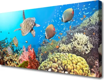 Produktbild von Tulup Leinwand-Bilder 100x50 Wandbild Canvas Kunstdruck Korallenriff Landschaft