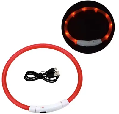 Produktbild von Leuchtendes Halsband – Rotes Halsband mit LED – LED-Halsband – Hundehalsband – Rotes Halsband – 70 cm – Leuchtend – Hundehalsband – Zuschneidbar – Spritzwassergeschützt – USB wiederaufladbar – CHPN