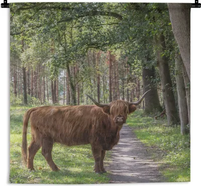 Produktbild von MuchoWow® Wandteppich Wandbehang Wald - Schottischer Highlander - Licht 60x60 cm Tapisserie Dekoration Wandtuch - Dekorationen - Wand Decke