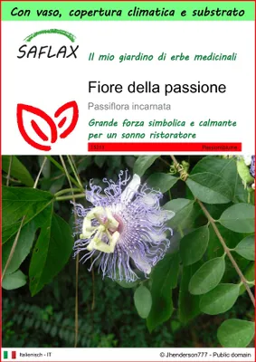 Immagine prodotto di SAFLAX Garden to go - Fiore della passione - 5 semi - Passiflora