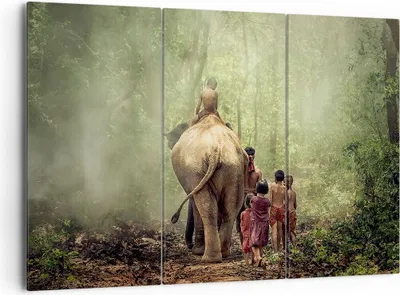 Produktbild von Bild auf Leinwand - Leinwandbild - Elefant Dschungel Nebel - 165x110cm - Wand Bild - Wanddeko - Leinwanddruck - Bilder - Kunstdruck - Wanddekoration - Leinwand bilder - Wandkunst - CE165x110-3438