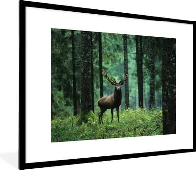Produktbild von MuchoWow® Gerahmtes Poster Hirsche - Wald - Bäume - Tiere - Natur 80x60 cm - Poster mit Schwarzem Bilderrahmen Wandposter Rahmen Foto Bilder - Schlafzimmer-Dekorationen - Fotoposter