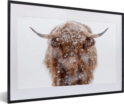 Produktbild von MuchoWow® Gerahmtes Poster Schottischer Highlander - Schnee - Porträt 60x40 cm - Poster mit Schwarzem Bilderrahmen Wandposter Rahmen Foto Bilder - Schlafzimmer - Plakat in Rahmen - Drucken