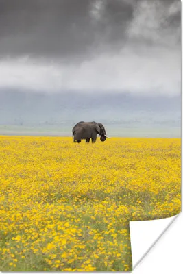 Produktbild von MuchoWow® Poster Elefant - Blumen - Natur - Gelb - Tiere 40x60 cm - Plakate für die Wand - Poster Babyzimmer