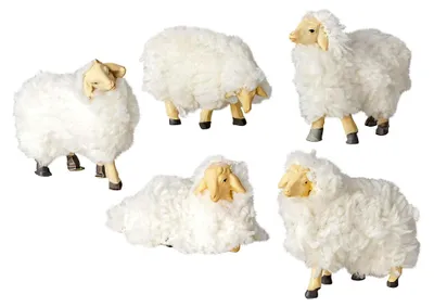 Produktbild von Fünf Wollschafe – Krippentiere & Krippenfiguren als Zubehör für Weihnachtskrippen & stimmungsvolle Krippenlandschaften (Maßstab 12 cm, mit flauschigem Fell)