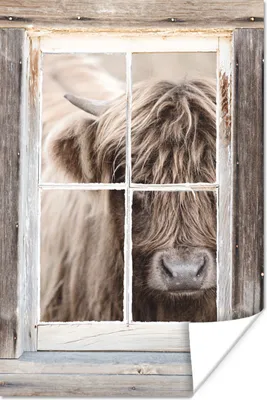 Produktbild von MuchoWow® Poster Schottischer Highlander - Tier - Ansicht 120x180 cm - Kunstposter