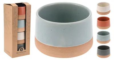 Image de Set 4 Bols Céramique Polyvalence Quotidienne - Excellent Houseware