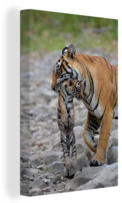 Produktbild von OneMillionCanvasses® - Leinwandbilder - 90x140 cm, Tigerin mit ihrem Jungtier, Wandbilder Kunstdruck Wanddekoration - Wandschmucke - Schlafzimmer