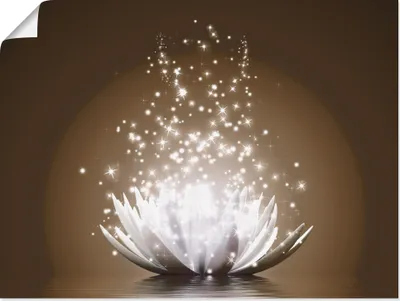 Produktbild von Vadim Georgiev: Magie der Lotus-Blume braun, Produkt:Poster, Größe (HxB):30x40 cm / Poster