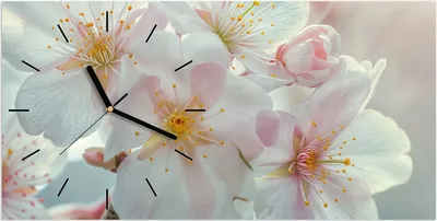 Produktbild von Wanduhr aus Glas mit Motiv Kirschblüten Zauber- 60 x 30 cm - inkl. Aufhängesystem