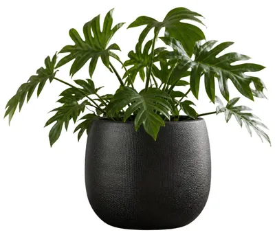 Produktbild von Mica Decorations Pflanzentopf - Keramik - dunkelgrau glanzend / gerippt - D28 x H29 cm - Blumentopf