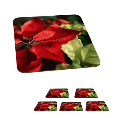 Obrázok produktu pre MuchoWow® Sklenený podtácek Štvorcová sada 6 kusov Vianočná ruža - Vianočný kvet - Vianoce 10x10x0.3cm Podložky pod poháre - podložky pod nápoje -