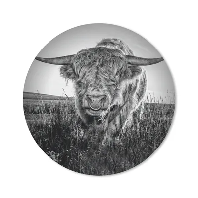 Produktbild von MuchoWow® Mauspad Mousepad Schottischer Highlander - Schwarz und Weiß 50x50 cm - Mousepads - Maus Mat - Pad - Mausunterlage - Vinyl