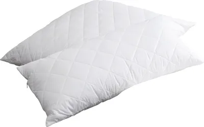 Two white quilted pillows are shown on a white background.