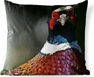 Produktbild von MuchoWow® Outdoor Kissen - Fasan - Porträt - Tiere - 50x50 cm - Wetterfest - Lounge Kissen - Komfortabel - Kissen mit Bild