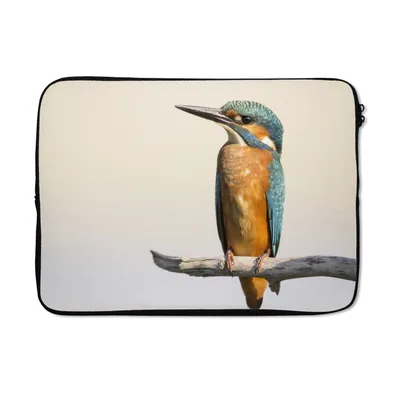 Produktbild von MuchoWow® Laptop Hülle 14 ZollEisvogel - Zweige - Tiere Laptoptasche - Laptoptasche - Stoßsicher - Schutzhaube