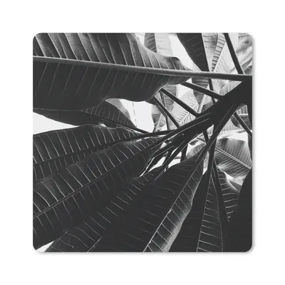 Produktbild von MuchoWow® Mauspad Mousepad Palmenblatt - Tropisch 30x30 cm - Mousepads - Maus Mat - Pad - Mausunterlage - Gaming