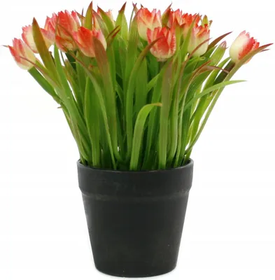 Zdjęcie produktu dla SZTUCZNY KWIAT Tulipan 20CM RÓŻNE KOLORY