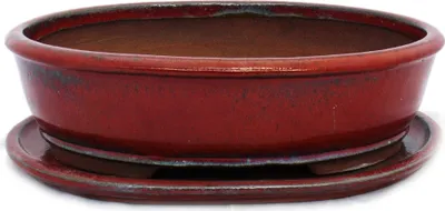 Image de bol bonsaï avec soucoupe taille 5 - rouge - ovale - modèle o3 - l 31cm - b 24,5cm - h 8,5cm