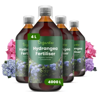 Zdjęcie produktu dla Hortensje Nawóz Płynny 4x1 L – 2-1-8 NPK – Do Kvitnúce Rośliny – Do Zdrowe Listy i Bujne Kwiaty – Podporuje Korzenie i Vitalitu – Organifer
