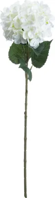Immagine prodotto di Hill Interiors - Fiore artificiale, Ortensia HI3727 (Taglia unica) (Bianco)