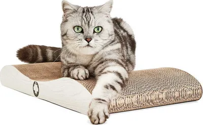 Produktbild von COMET L - Canadian Cat Kratzbaum - hellgrau
