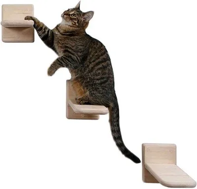 Productafbeelding van Kattenrek Set - Wandmeubels Kat - Binnen Klimmen - Massief Hout - 12x19x19cm