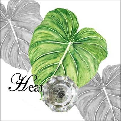 Produktbild von Wandhaken Leaf HTI-Line