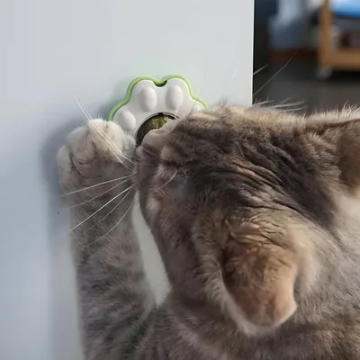 Produktbild von Nobby Katzenspielzeug Catnipball Paw