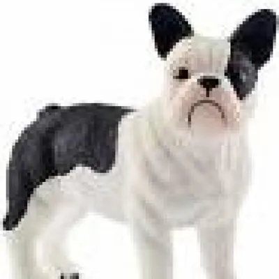 Image de Schleich 13877 Bouledogue français