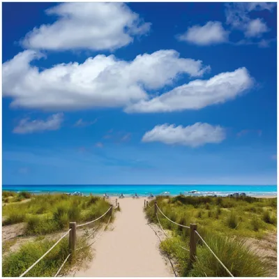 Produktbild von Wallario Premium Glasbild, freischwebende Optik, kräftige Farben, Größe 30 x 30 cm Motiv Sandweg zum blauen Meer mit blauem Himmel