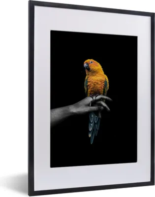 Produktbild von MuchoWow® MuchoWow® Gerahmtes Poster Vogel - Zweig - Papagei 30x40 cm - Poster mit zchwarzem Bilderrahmen - Wandposter Schlafzimmer